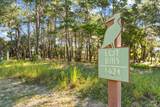 1624 Lost Cove Lane - Photo 6