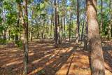 1624 Lost Cove Lane - Photo 9