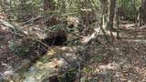 2928 Aplin (33 Ac.) Road - Photo 42