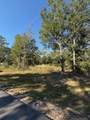 Lot 48 Howlin Road - Photo 2