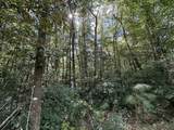 Parcel C New Ebenezer Road - Photo 4