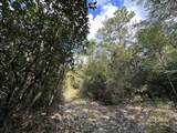 Parcel E New Ebenezer Road - Photo 11