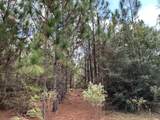 Parcel E New Ebenezer Road - Photo 6
