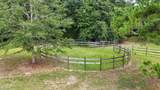 3754 Annie Road - Photo 23