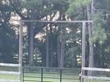 3754 Annie Road - Photo 24