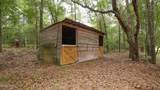 3754 Annie Road - Photo 31
