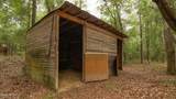3754 Annie Road - Photo 32