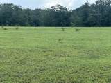Lot 4 Bullard Road - Photo 4