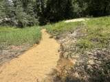 Lot 4 Bullard Road - Photo 7