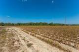 5 Ac - C2 Mcphail Farm Road - Photo 6