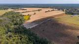 5 Ac - B Mcphail Farm Road - Photo 14