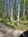 402 Smokehouse Lake Road - Photo 5