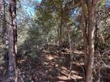 TBD Bear Head Road - Photo 4