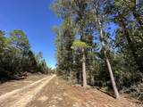 TBD Bear Head Road - Photo 6