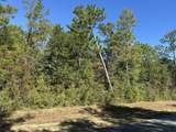 TBD Bear Head Road - Photo 7