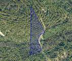 3.8+/- AC Cotton Creek Road - Photo 6