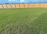 75 Natureview Way - Photo 21