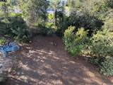 6 Trigger Trail - Photo 25
