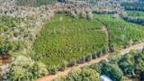 0 Bainbridge Rd Highway - Photo 3