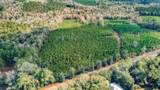 0 Bainbridge Rd Highway - Photo 4
