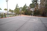 312 Sand Palm Road - Photo 26