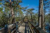 20 Cypress Walk - Photo 43