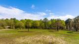 20 Acres Cannon Drive - Photo 4