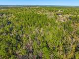 21 Acres Rock Hill Road - Photo 10