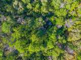 21 Acres Rock Hill Road - Photo 5