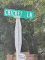 1.3 Acres Cricket Lane - Photo 3