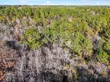 Lot 50 State Highway 81 - Photo 10