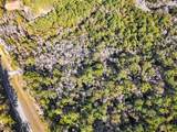 Lot 50 State Highway 81 - Photo 2