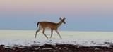 247 Bishop Road - Photo 51