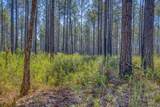 1650 Bear Bay Flats Rd Road - Photo 19