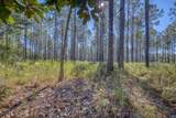 1650 Bear Bay Flats Rd Road - Photo 20