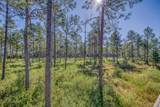 1650 Bear Bay Flats Rd Road - Photo 26