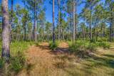 1650 Bear Bay Flats Rd Road - Photo 30