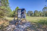 1650 Bear Bay Flats Rd Road - Photo 36