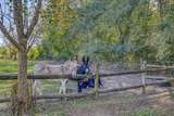 1650 Bear Bay Flats Rd Road - Photo 42