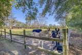 1650 Bear Bay Flats Rd Road - Photo 43