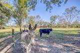 1650 Bear Bay Flats Rd Road - Photo 44