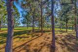1650 Bear Bay Flats Rd Road - Photo 63