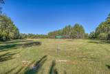 1650 Bear Bay Flats Rd Road - Photo 9