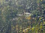 140 Stencel Drive - Photo 6