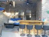 6056 Diamante Drive - Photo 13
