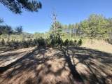3.40 ac Bulger Town Road - Photo 9