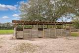 4398 Cooper Lane - Photo 41