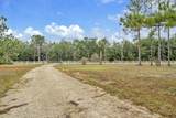 4156 Painter Branch Road - Photo 19