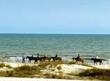 170 Gulf Pines Drive - Photo 77
