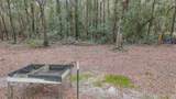 543 Cat Island Road - Photo 30